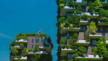 21 Eylül 2019: Dikey Orman binaları, Porta Nuova, Milan, İtalya