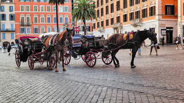 Piazza Spagna Horses Drawn Carriage Awaiting Tourist Tour Rome — Stock Photo, Image