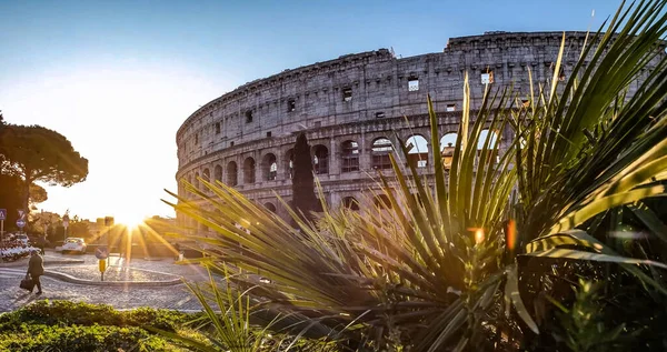 Колізей Руїнами Знаменитого Форуму Романів Ромі Італях — стокове фото