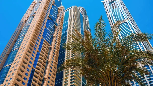 Pencakar Langit Modern Dan Pohon Palem Dubai Uea — Stok Foto