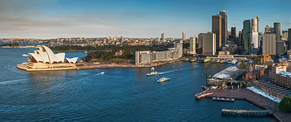 Sydney city skyline and harbour — Stock Photo, Image