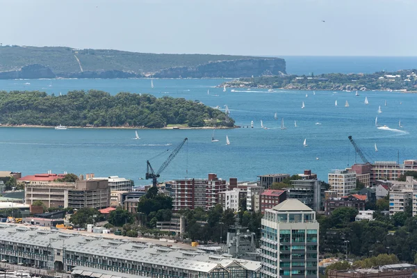 Sydney city and bay from height — Stock Photo, Image