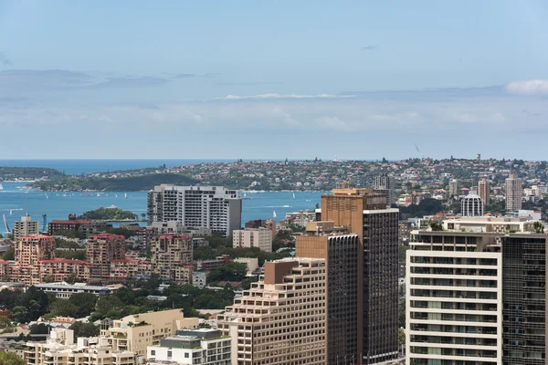 シドニー市内と湾の高さから — ストック写真