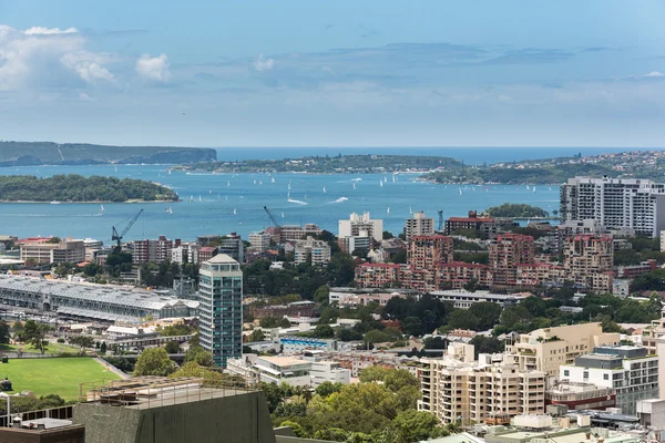 シドニー市内と湾の高さから — ストック写真