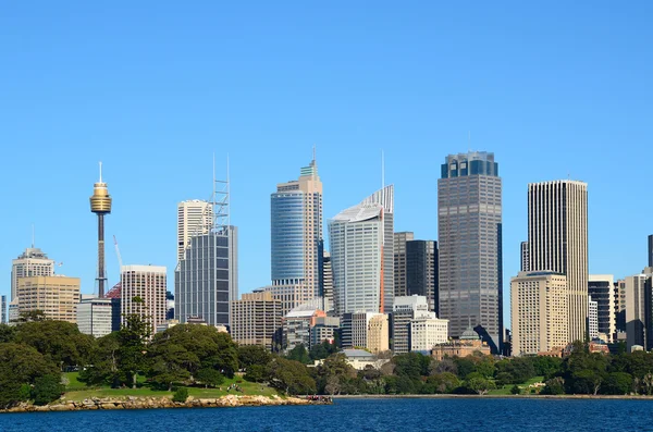 Sydney city with trees in foreground — Stock Photo, Image