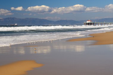 Los angeles plaj yan yan görünüm