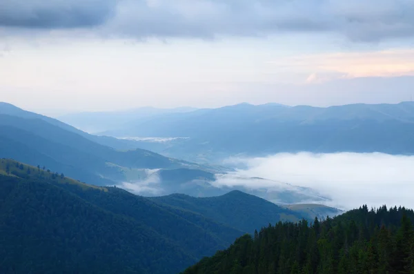 Sisli dağlar vadi — Stok fotoğraf