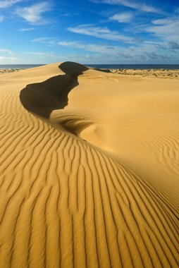 Sand dunes with mirage clipart