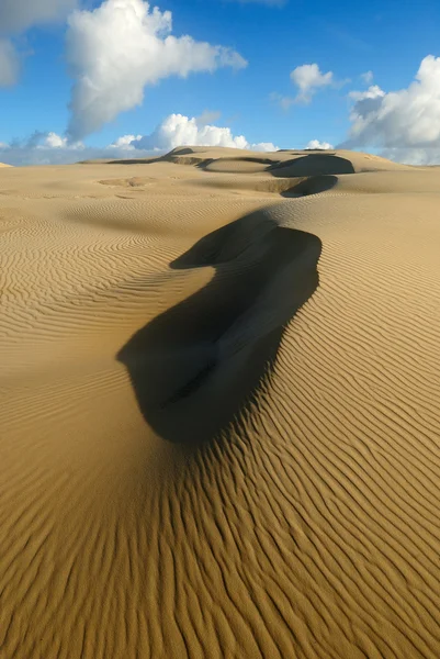 Yellow soft sand dunes — Stock Photo, Image