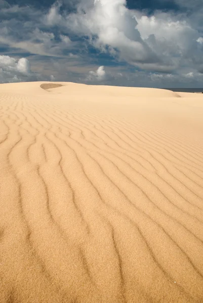 Sanddyner med luftspeiling – stockfoto