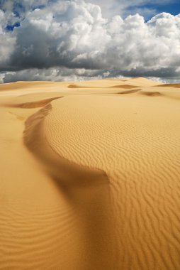 Turuncu yumuşak kum tepeleri