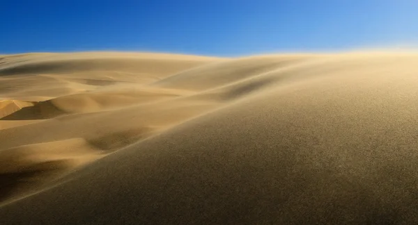High wind in desert — Stock Photo, Image