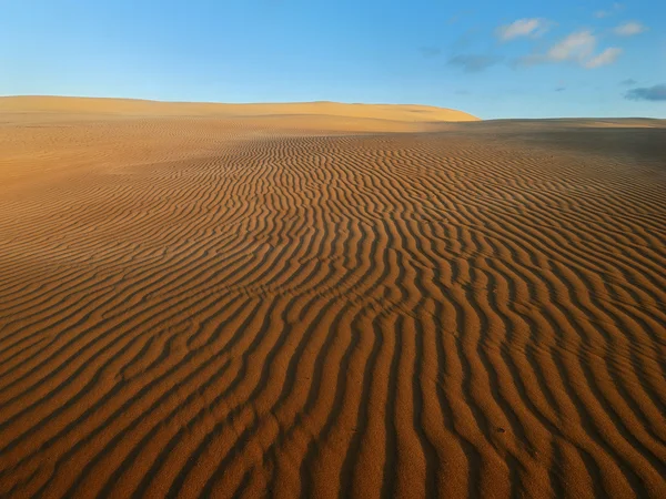 Narancssárga puha sivatagi homok — Stock Fotó