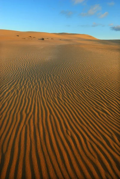 Orange soft desert sand — Stock Photo, Image