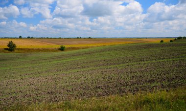 Gün içinde tarım alanları
