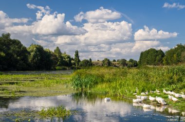 kazlar Nehri üzerinde