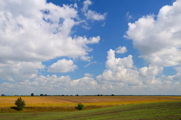 Farming fields during day — Stock Photo, Image