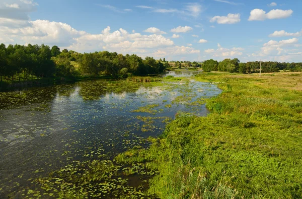 Paysage rural fluvial — Photo