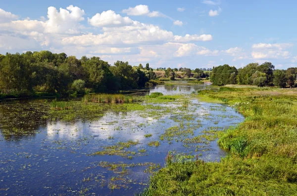 Paysage rural fluvial — Photo