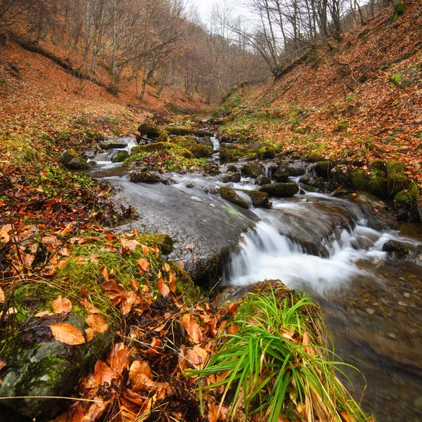 Podzimní oranžové vodopád — Stock fotografie