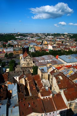 Lvov Şehir Manzaralı