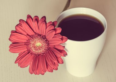 Pembe gerbera çiçek ve ahşap masa kahve