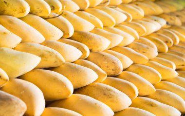 Tay piyasada olgun mango