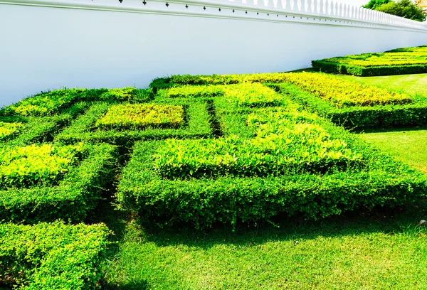 緑の夏の草。緑のばねの背景 — ストック写真