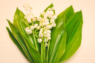 Zambak vadideki ışık arka plan üzerinde buket. Bahar 