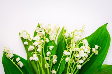 Zambak vadideki ışık arka plan üzerinde buket. Bahar 