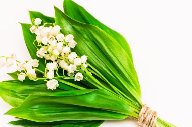 Zambak vadideki ışık arka plan üzerinde buket. Bahar 