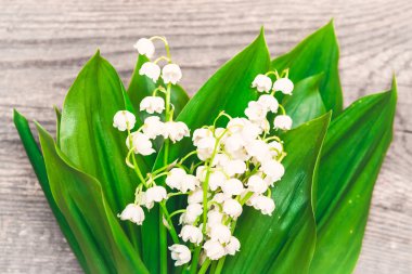 Ahşap arka plan üzerinde vadideki zambak buketi. Bahar
