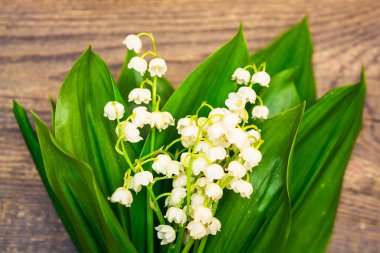 Ahşap arka plan üzerinde vadideki zambak buketi. Bahar
