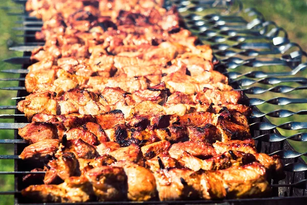 그릴에 구운 바베큐 케밥 불에 구운 고기 로열티 프리 스톡 사진