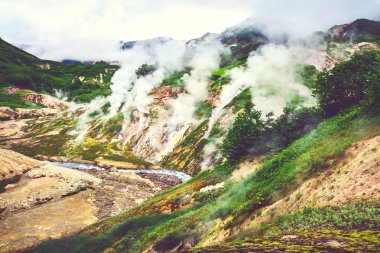 Efsanevi Valley, Geysers yaz aylarında. Kamçatka, Rusya Federasyonu