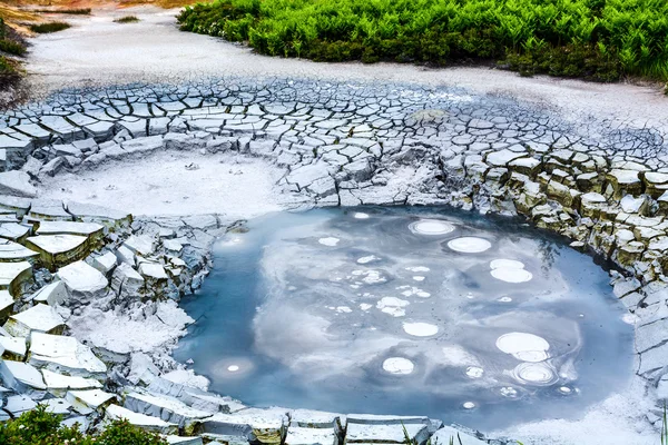 在传说中的间歇泉山谷的泥锅。堪察加半岛，俄罗斯 图库图片