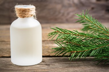 Temel aromatik yağ Ladin portre