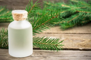 Temel aromatik yağ Ladin portre 