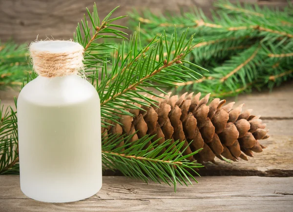 Temel aromatik yağ Ladin closeup köknar ağacı, çam con ile