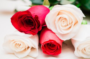 Açık ahşap arka plan üzerinde kırmızı ve beyaz güller. Kadınlar Günü, 