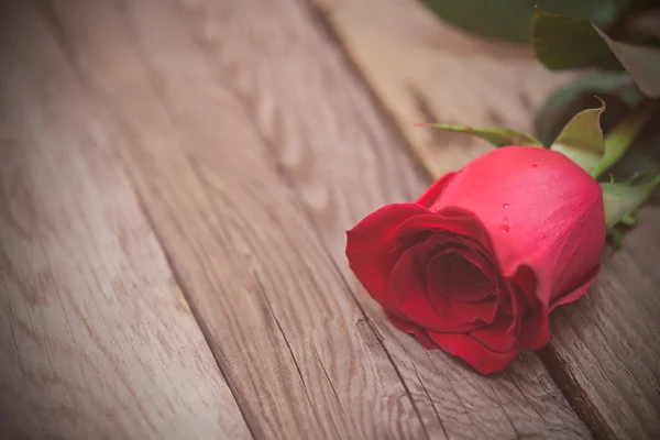 Red rose on a dark wooden background. Women' s day, Valentines D — Stok fotoğraf