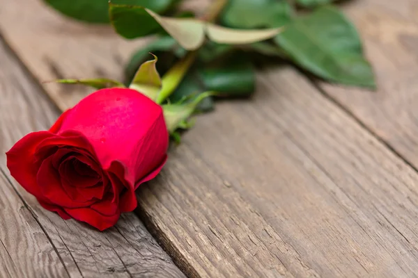 Red rose on a dark wooden background. Women' s day, Valentines D — Stok fotoğraf