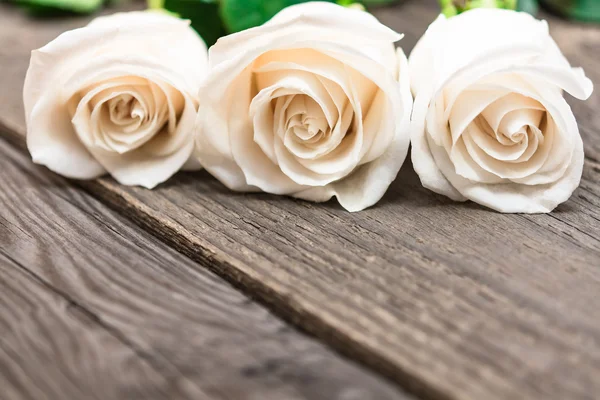 Rosas brancas em um fundo de madeira escura. Dia das mulheres, Valentine — Fotografia de Stock