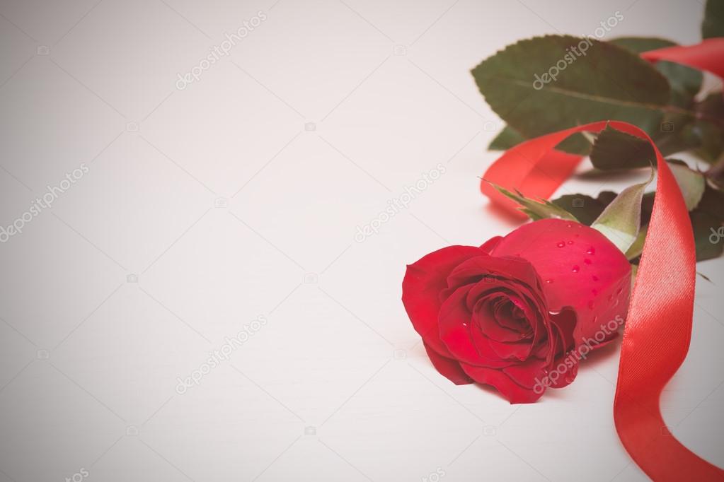 Red rose with ribbon on a light wooden background. Women' s day,