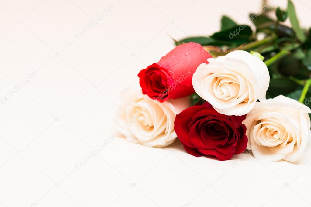 Red and white roses on a light wooden background. Women' s day, 