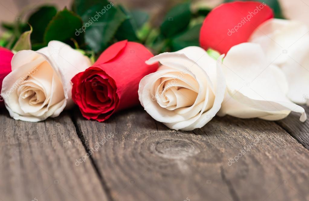 Red and white roses on wooden background. Women' s day, Valentin