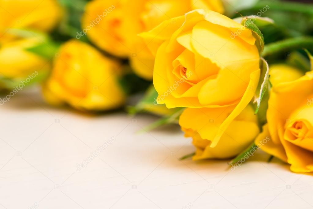Yellow roses on a light wooden background. Women' s day, Valenti