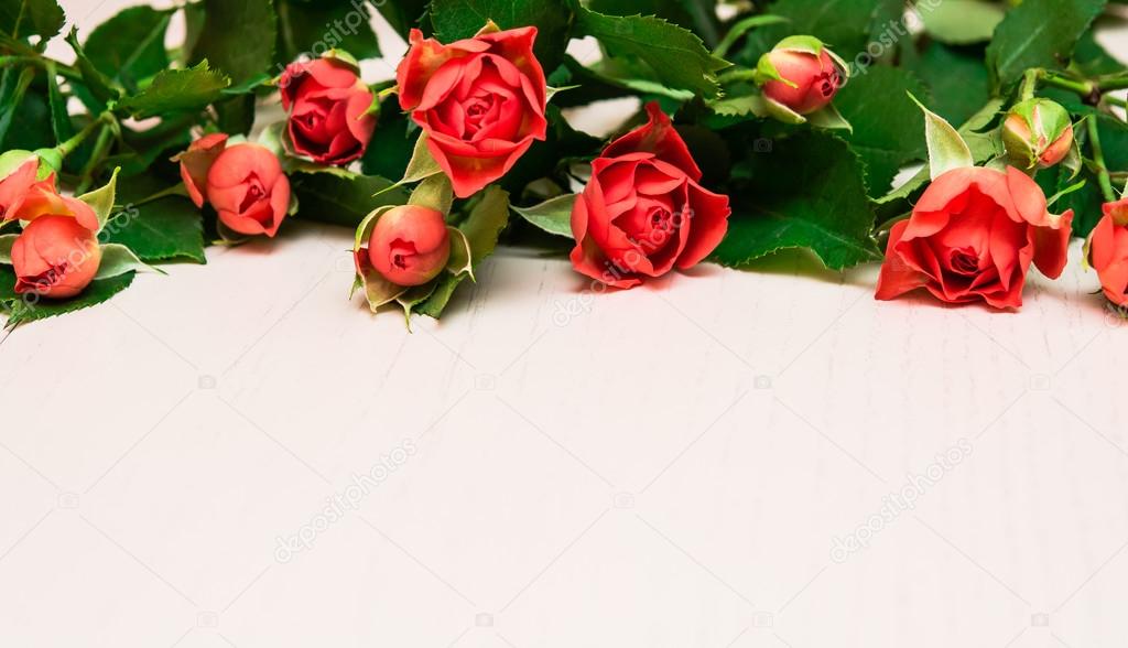 Red roses on a light wooden background. Women' s day, Valentines