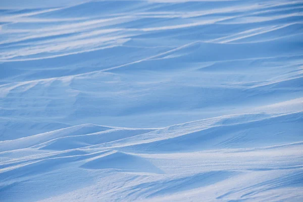 Snow texture. Wind sculpted patterns on snow surface. Wind in the tundra and in the mountains on the surface of the snow sculpts patterns and ridges (sastrugi). Arctic, Polar region. Winter background