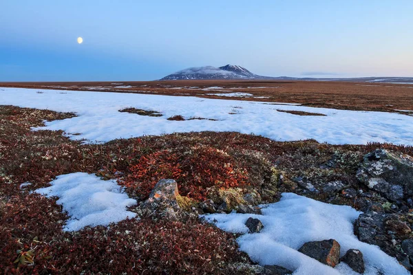 Scenic landscape with tundra, lonely mountain and moon. In June in the Arctic in the tundra, not all snow has melted yet. Beautiful nature of the far North. Anadyr tundra, Chukotka, Siberia, Russia.